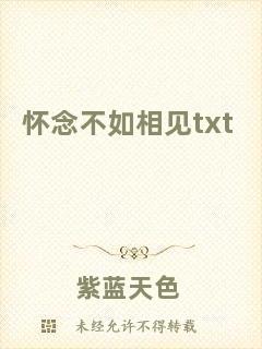 懷念不如相見txt