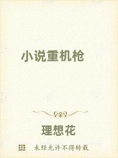 小說重機(jī)槍