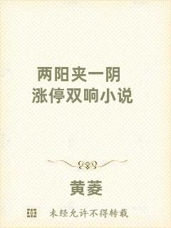 兩陽夾一陰漲停雙響小說