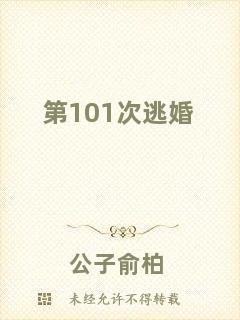 第101次逃婚