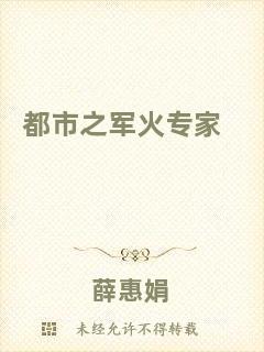 都市之軍火專家