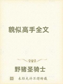 貌似高手全文