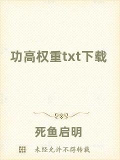 功高權(quán)重txt下載