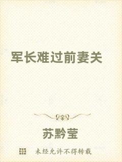 軍長(zhǎng)難過(guò)前妻關(guān)