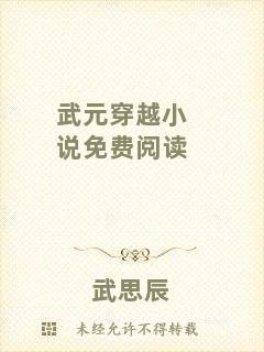 武元穿越小說免費閱讀