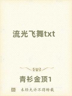 流光飛舞txt