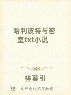 哈利波特與密室txt小說(shuō)