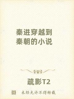 秦進(jìn)穿越到秦朝的小說(shuō)