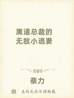 黑道總裁的無敵小逃妻