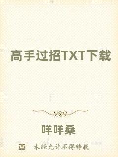 高手過招TXT下載