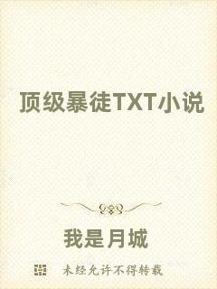 頂級暴徒TXT小說