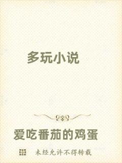多玩小說