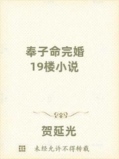 奉子命完婚19樓小說