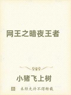 網(wǎng)王之暗夜王者
