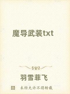 魔導(dǎo)武裝txt
