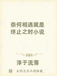 奈何相遇就是終止之時(shí)小說(shuō)