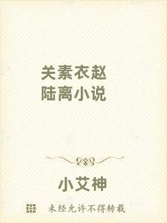 關素衣趙陸離小說